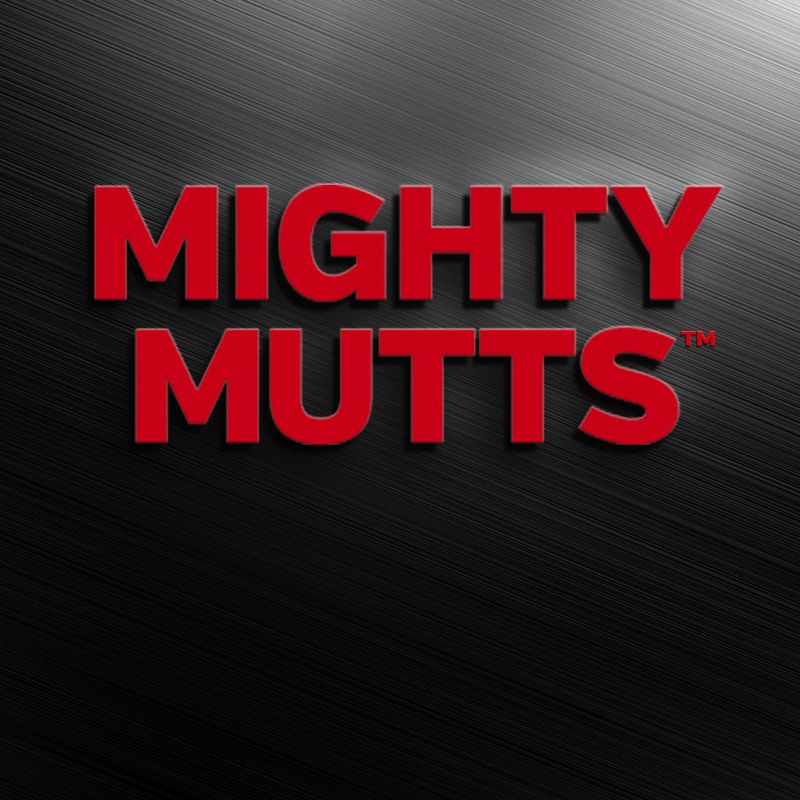 Jouet Mighty Mutts™ Os en caoutchouc