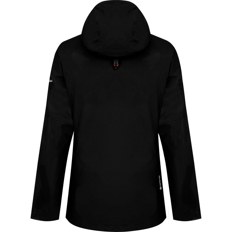 Salewa Damen Puez GTX-Paclite Jacke