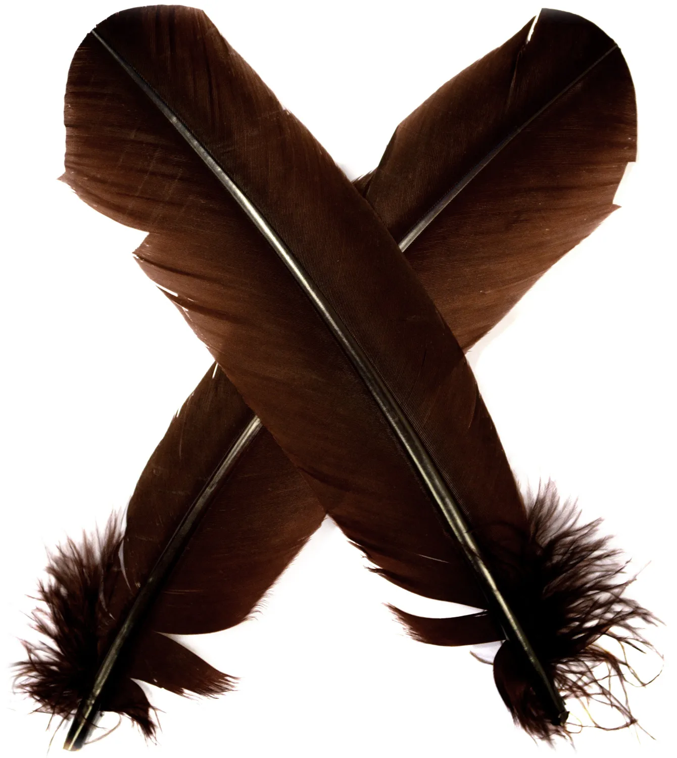 Veniard Turkey Broad Wing Quill Dyed