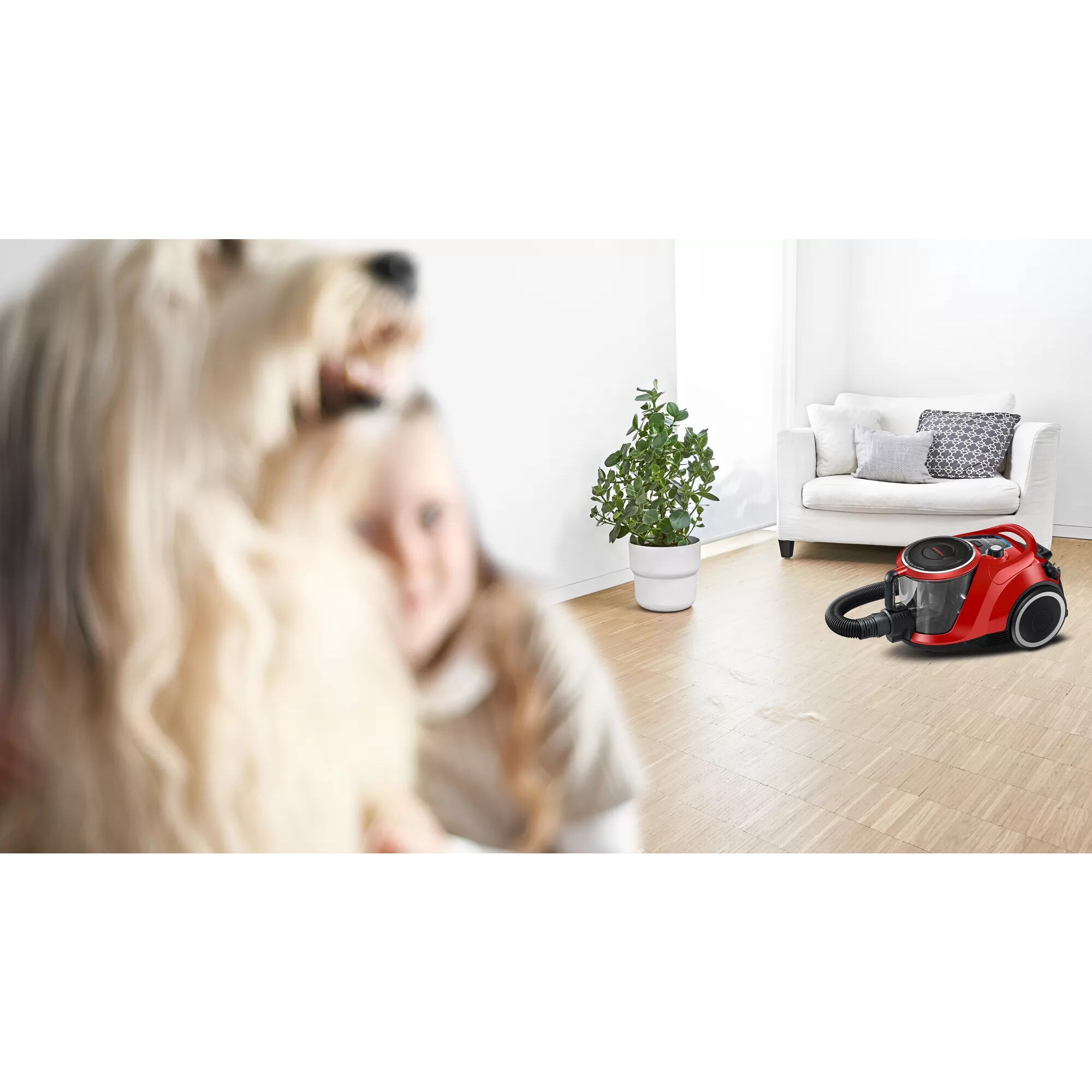 Bosch Bodenstaubsauger Serie 6 ProAnimal BGC41PET