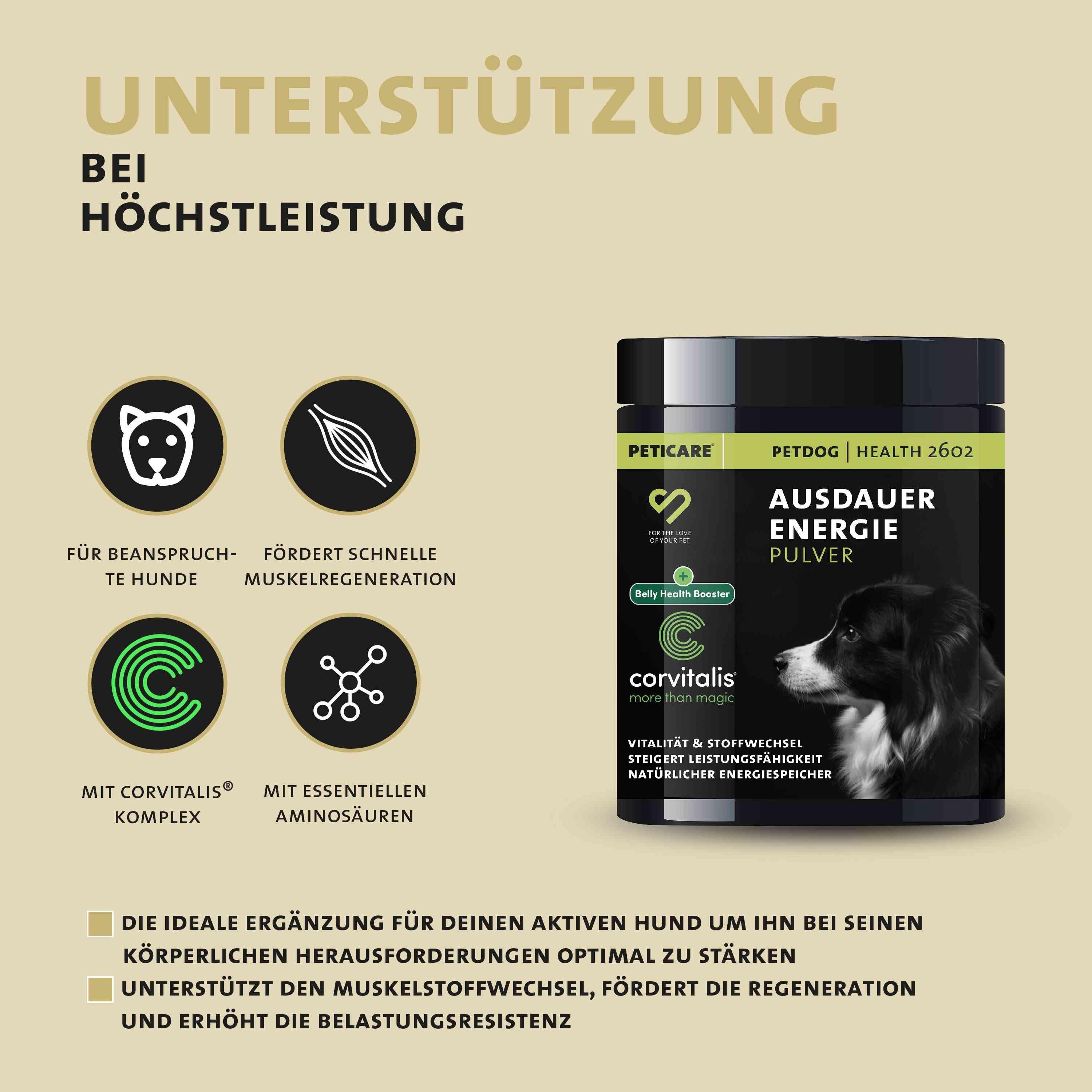 Peticare Ergänzungsfutter Pulver für sportliche Hunde, für Ausdauer & Vitalität