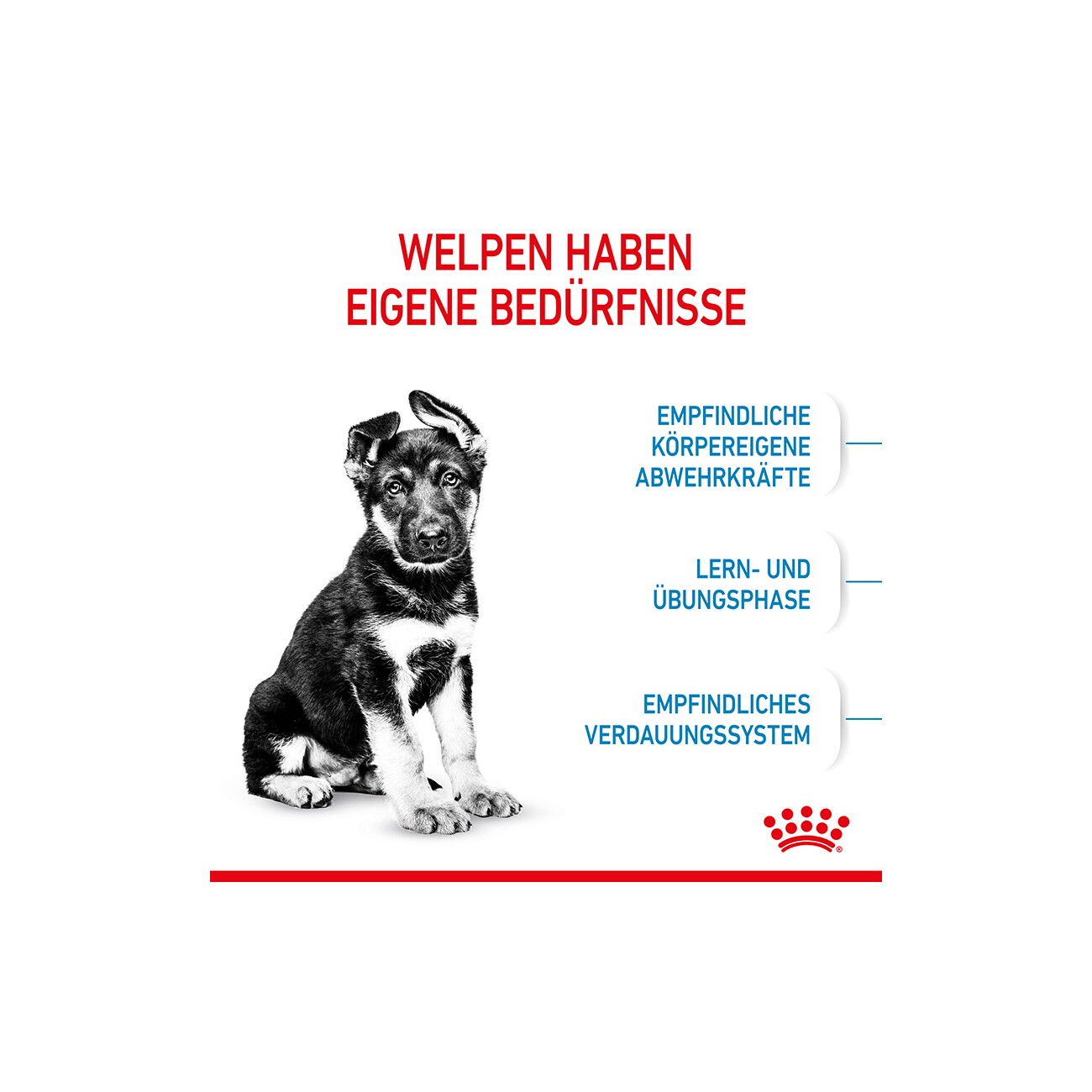 ROYAL CANIN Maxi Puppy 4 kg