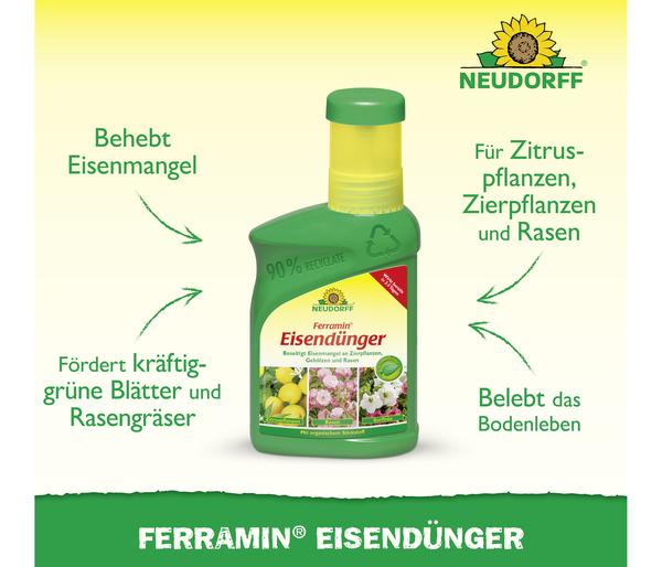 Neudorff Ferramin® Eisendünger, flüssig,
