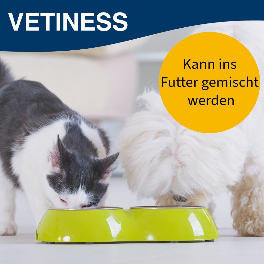 Vetiness Durchfallstopp Paste für Hunde und Katzen