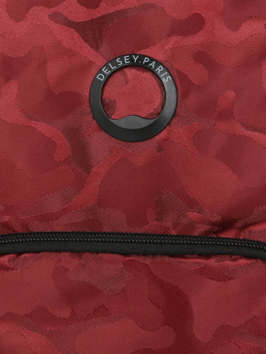 Sac À dos Delsey Citypak Rolltop