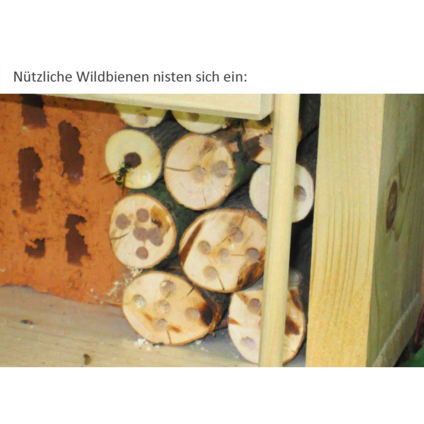 Dobar Landhaus Komfort Insektenhotel, inkl. Balkon und Terrasse