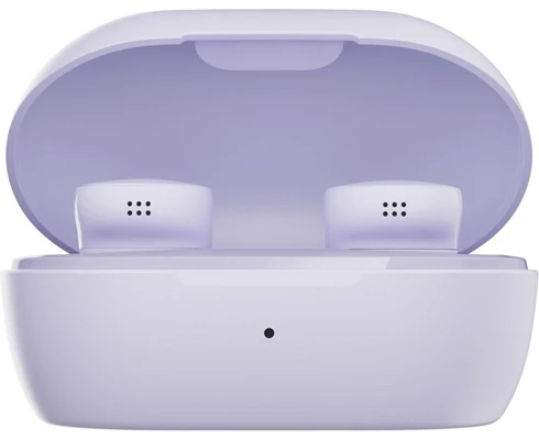 Bose QuietComfort Earbuds 24 - Lilac