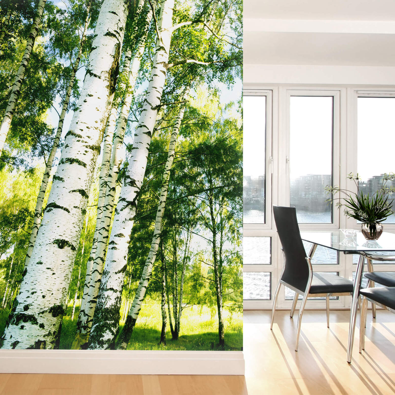 Fototapete DESIGNWALLS 2.0 - grün-weiß - Birkenwald - 2,6 Meter