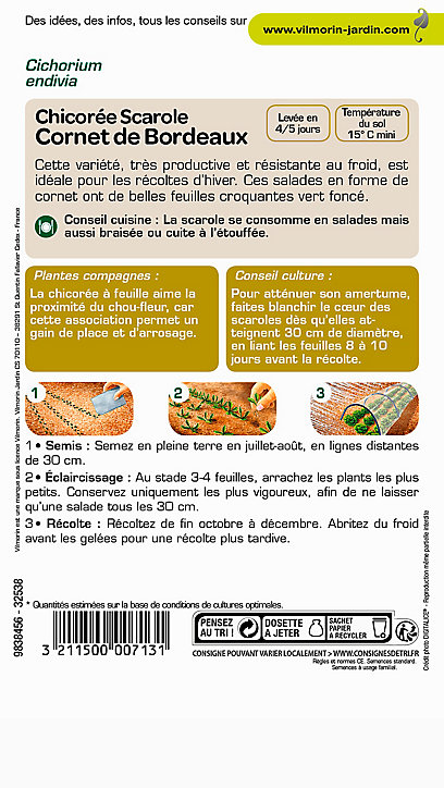 Graines de Chicorée Scarole Cornet de Bordeaux