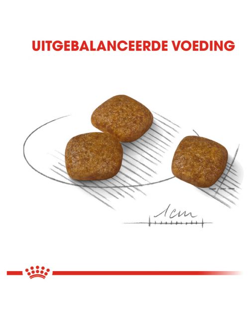 Royal Canin Urinary Care Mini - Hondenvoer