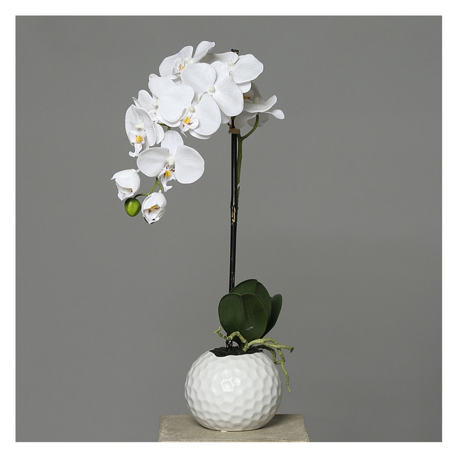 Orchidee in Topf - ca. 46 cm - weiß