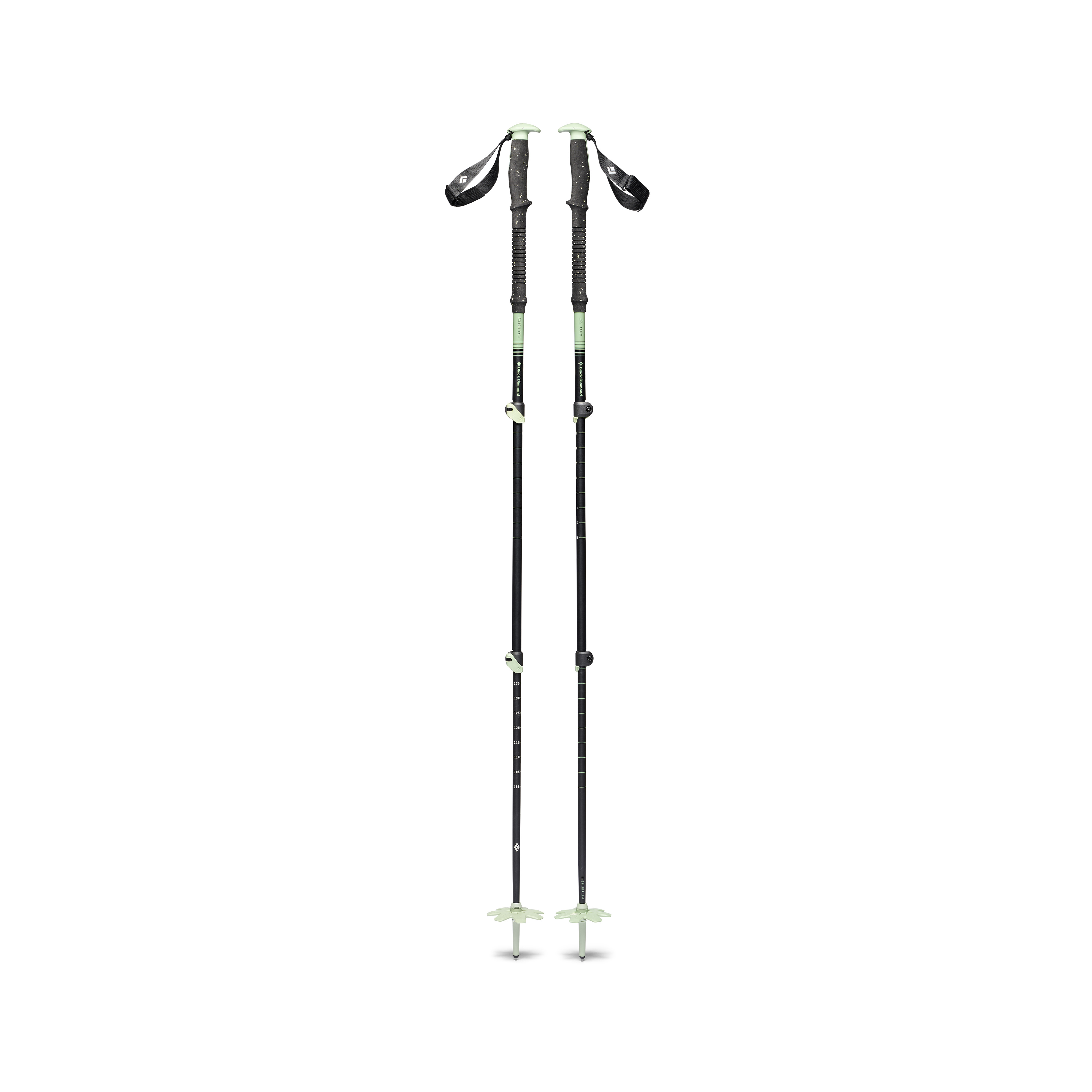 Expedition 3P Ski Poles