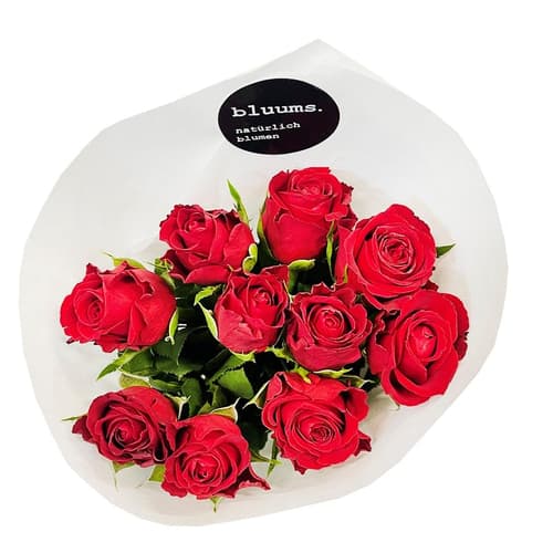 bluums. Rote Rosen Classic
