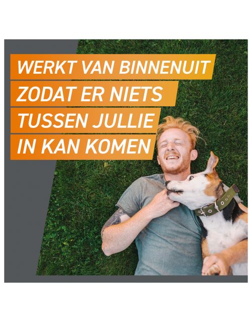 Frontpro Hond - Anti vlooien en tekenmiddel - >2-4 Kg Small