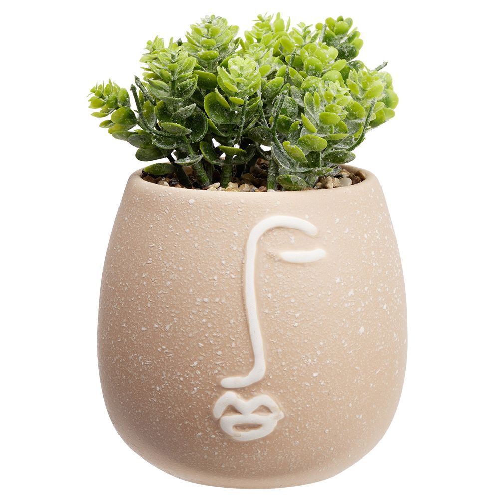 Plante artificielle dans pot en grès déco visage