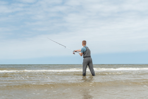 Canne pêche au bar Ultimate Bluecore Seabass Allround 2.90m (20-60g)