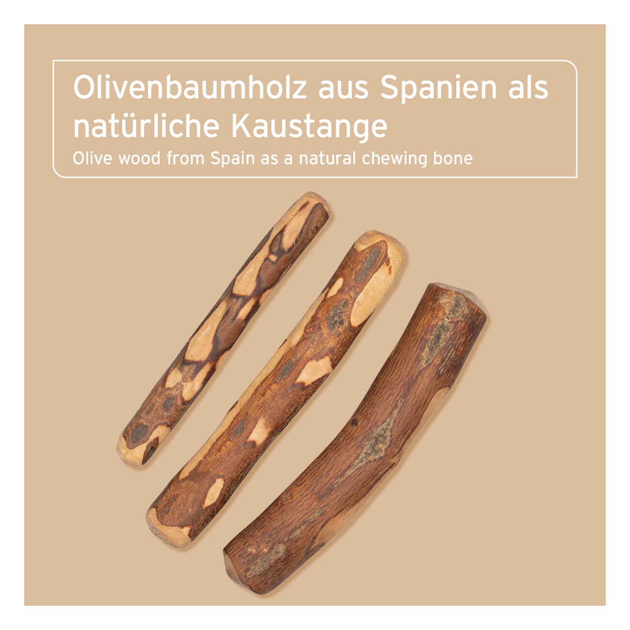 AniForte Olivenholz Kauknochen S