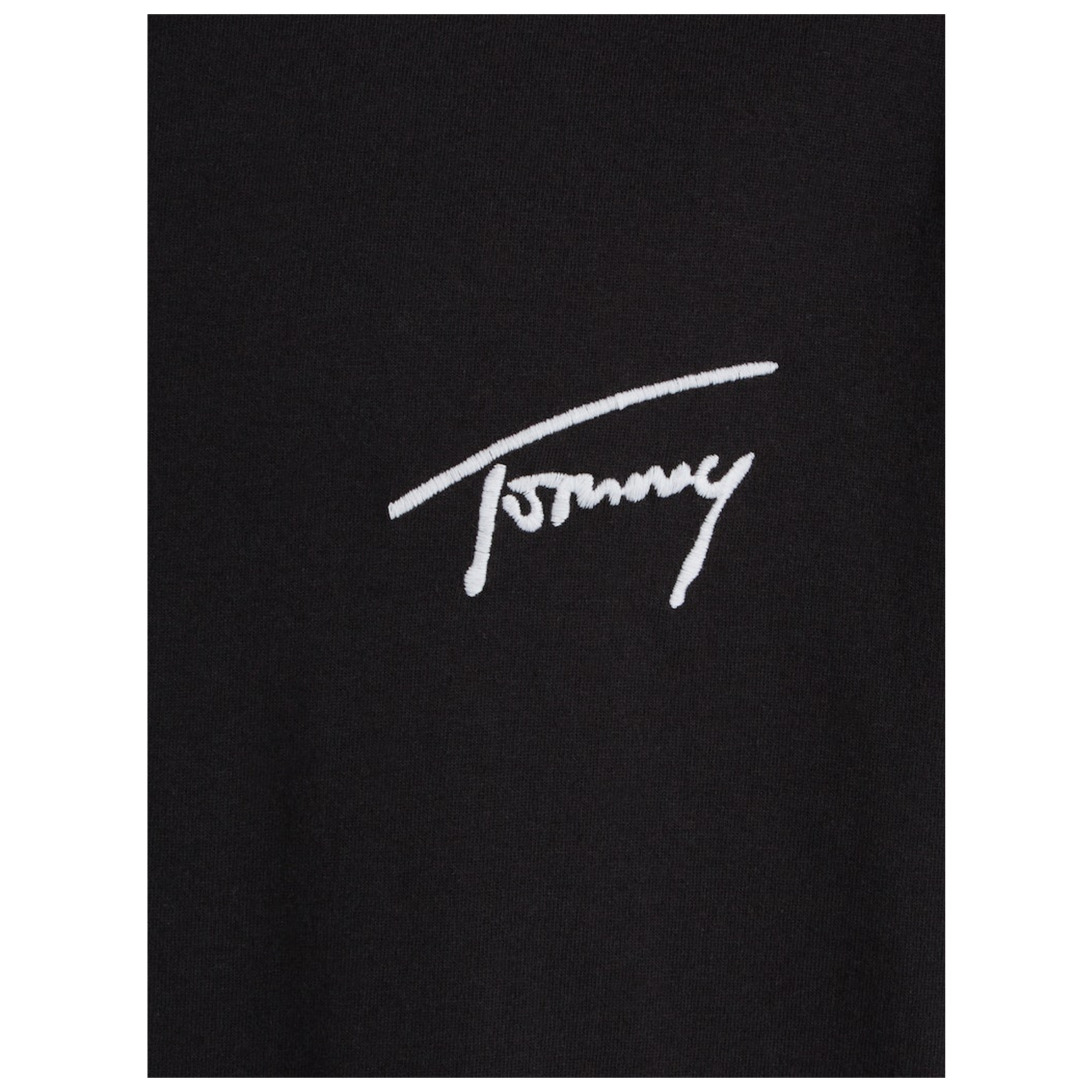 Tommy Jeans TJM REG SIGNATURE TEE EXT