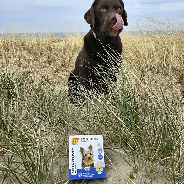 Petiscos para cães BF Petfood com repelente de alho, 80 unidades
