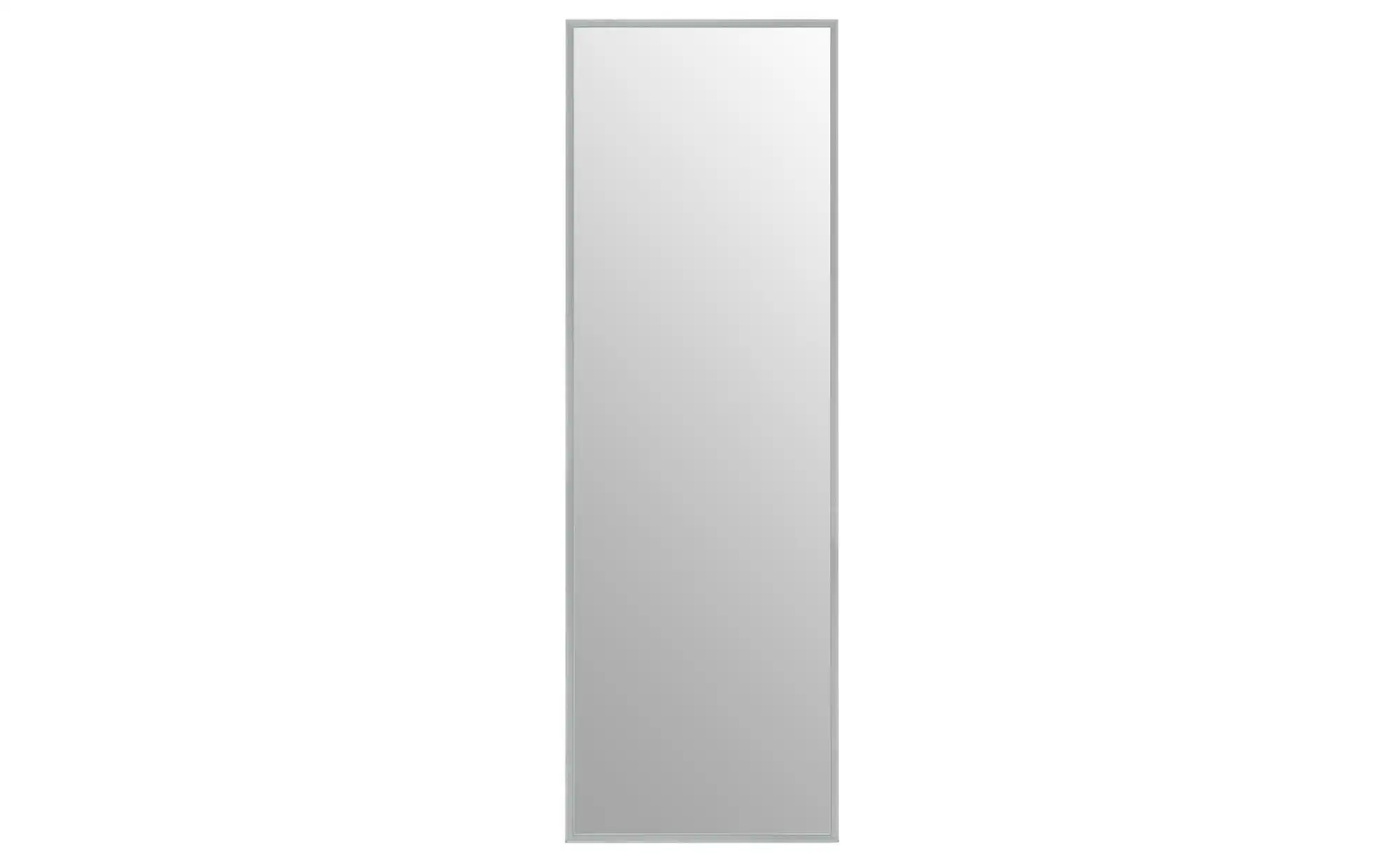 Spiegel 51 x 151 cm