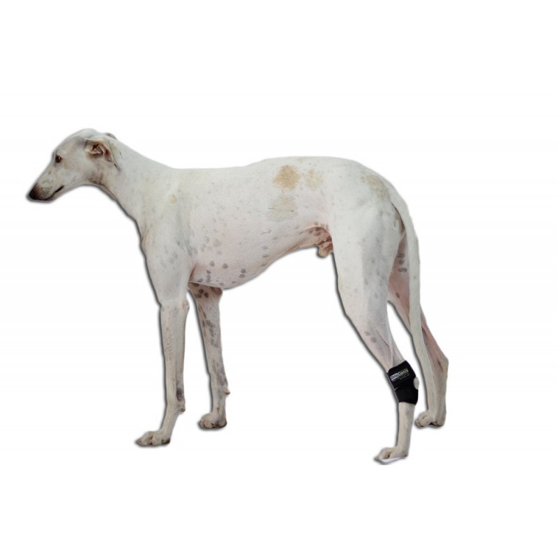 Suporte tarsal para cães com osteoartrite, lesão ligamentar ou inflamação dos tendões articulares.