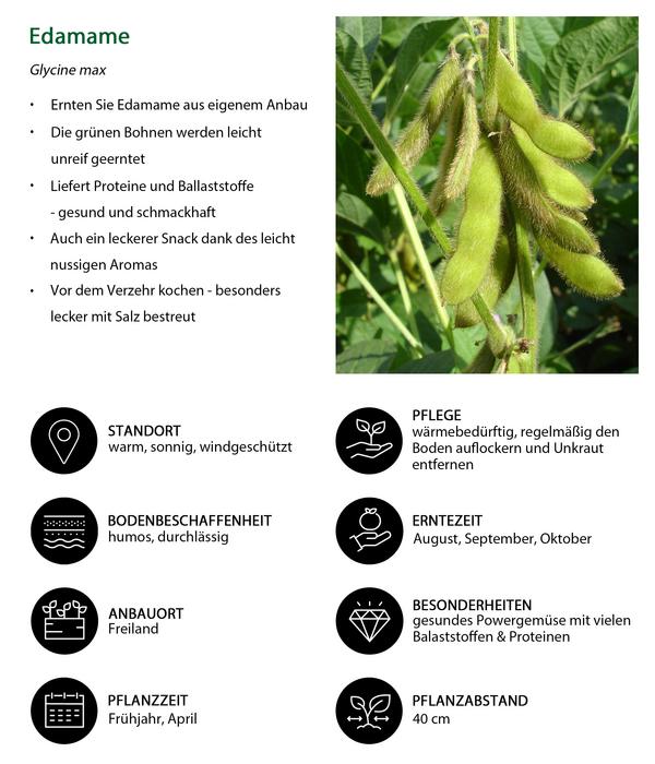 Edamame