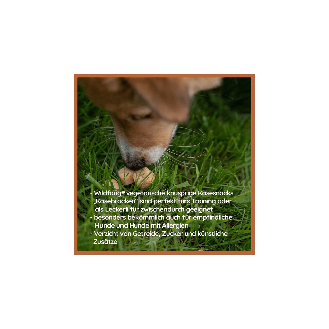 Wildfang ® Käse Snacks - Mix Softies, Harties und Brocken - getreidefrei