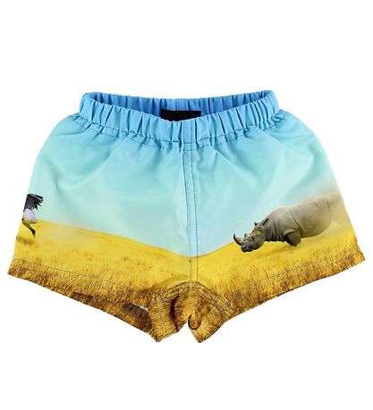 Molo Bådeshorts - UV50+ - Newton - Rhino