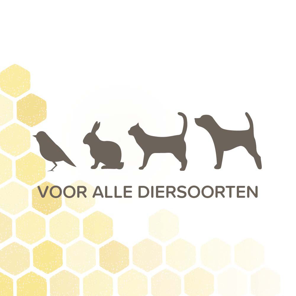 Beaphar Derma  spray - Wondverzorging Hond - 75 Milliliter