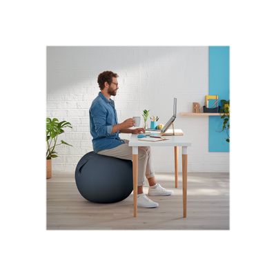 Leitz Ergo Cosy Active - Ballon d'assise - diamètre de 65 cm - gris velours