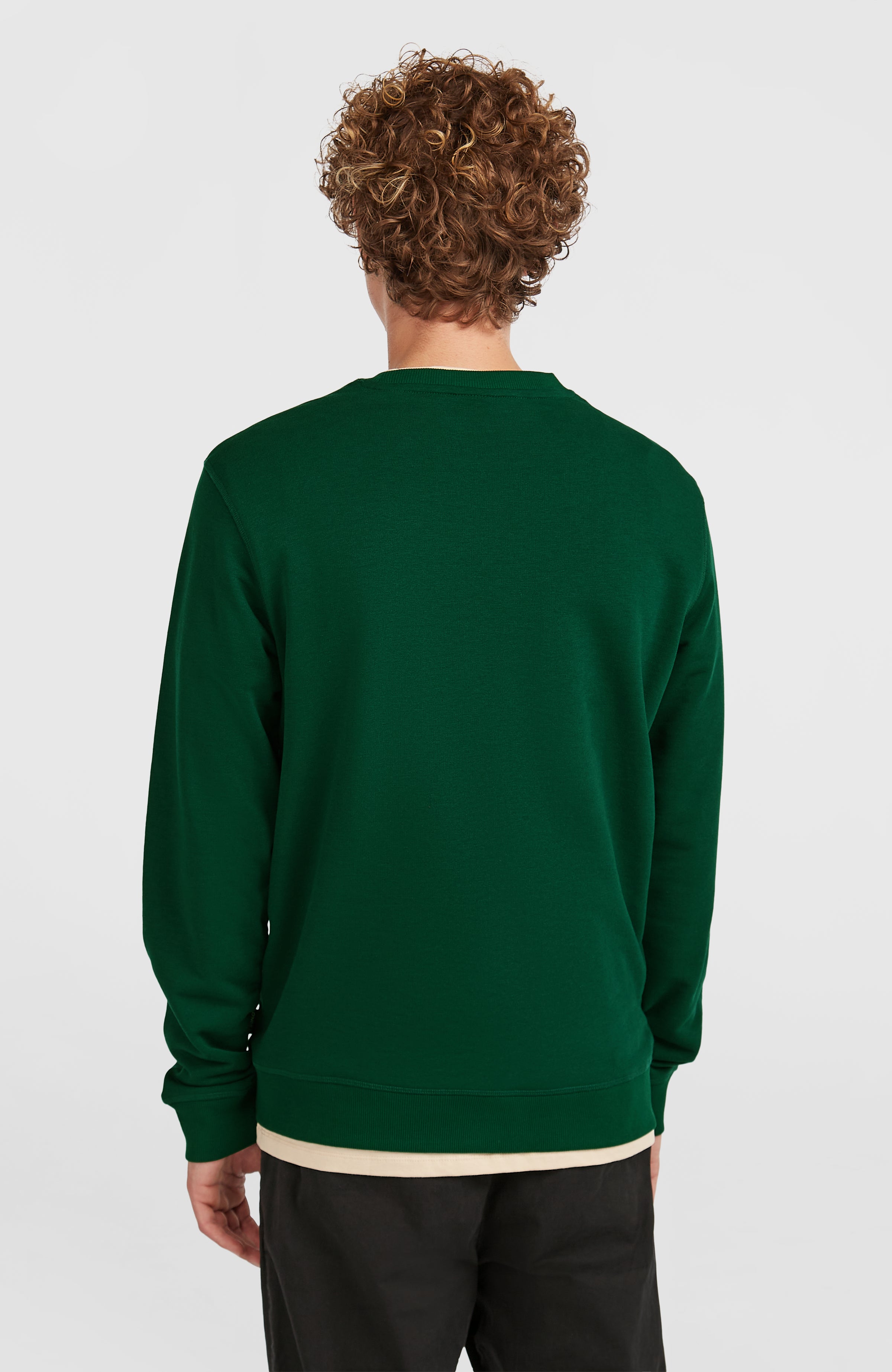 Small Logo Crew sweater
