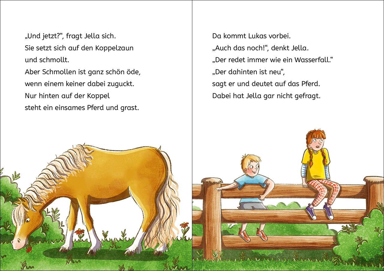 Leselöwen 2. Klasse - Pferdeflüsterin mit Herz