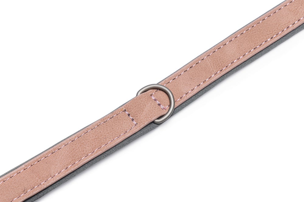 Beeztees hondenhalsband Balacron Ax roze 29-35 x 1,5 cm
