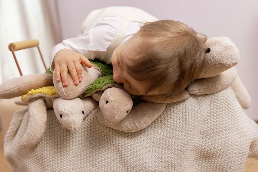 Senger Kuscheltier Schildkröte