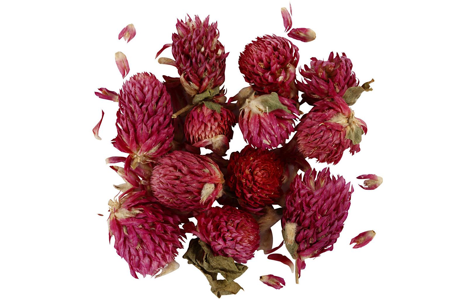 Blüten 15 g, Rotes KleeblattEchte Trockenblumen für Dekoration