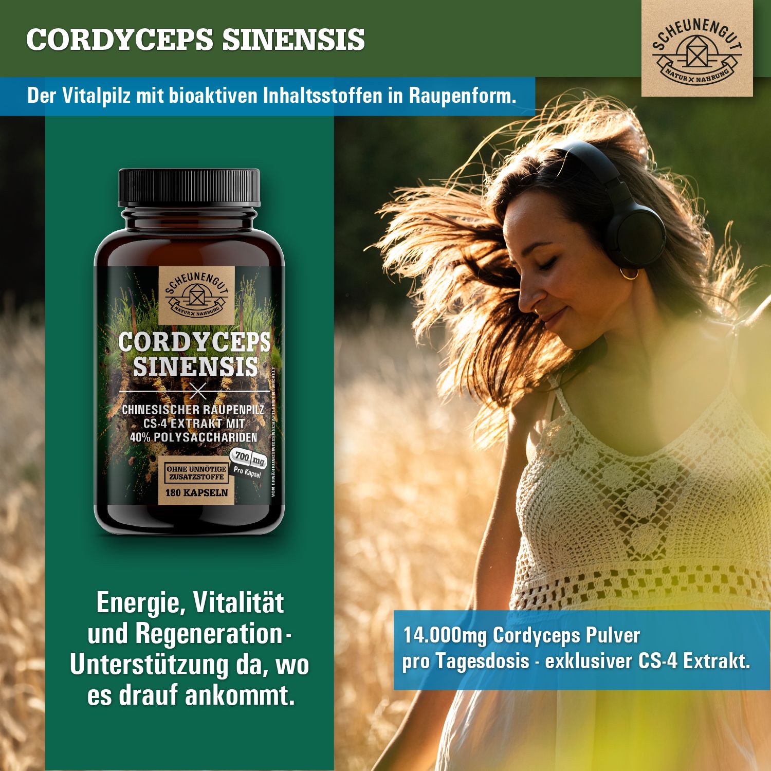 Scheunengut® Cordyceps Sinensis CS-4 Extrakt | 10:1 Raupenpilz Extrakt mit 40% Polysaccharide
