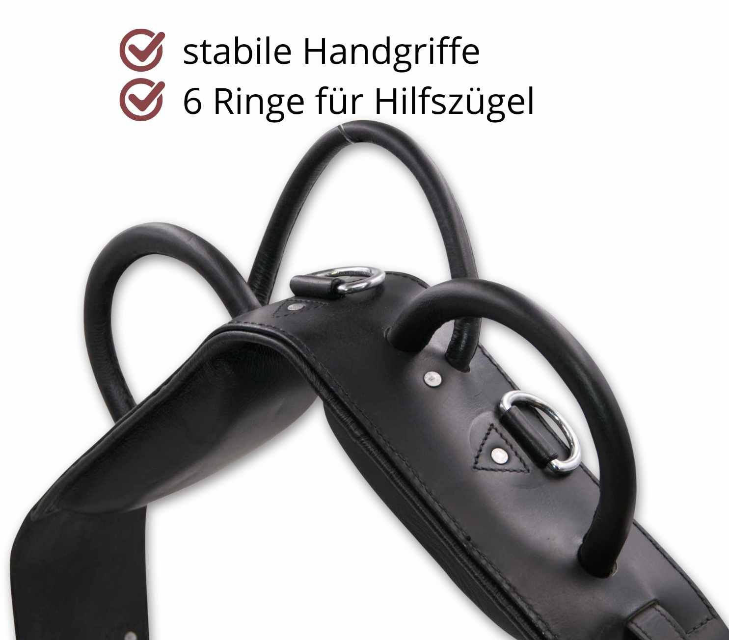 AMKA Voltigiergurt Cheval