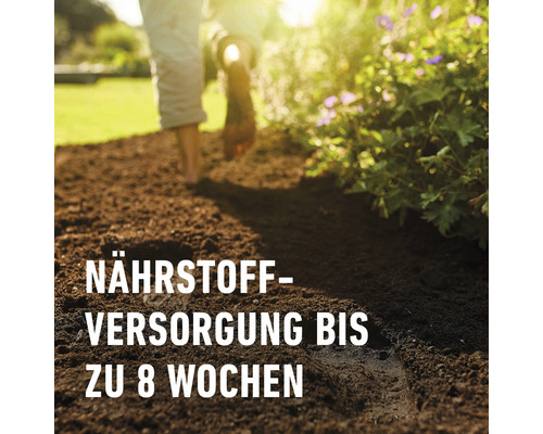 COMPO SANA® 50 L Rhododendron- en Hortensiagrond, ook geschikt voor Azalea's, Heide en Camelia's, Erybeangrond