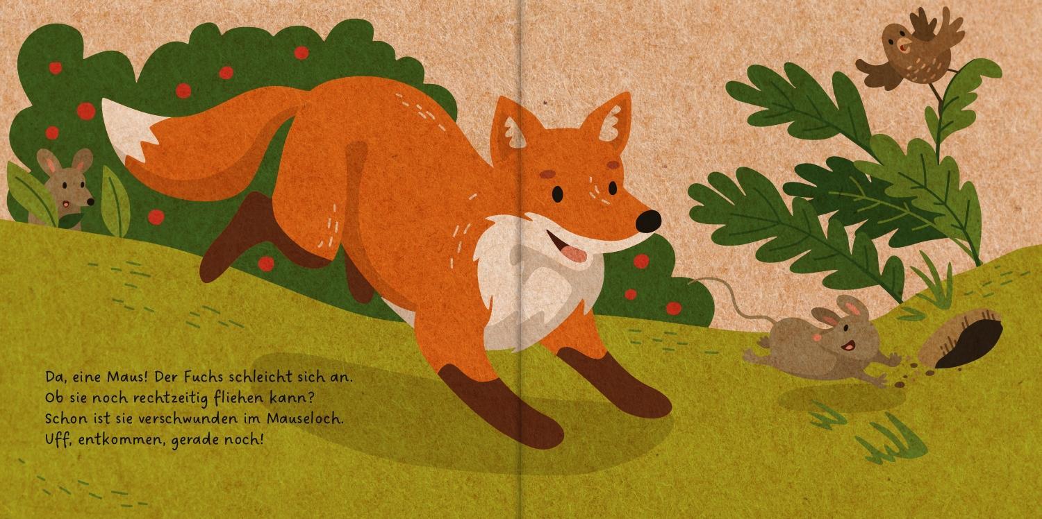 Der kleine Fuchs / Meine Waldfreunde Bd.2