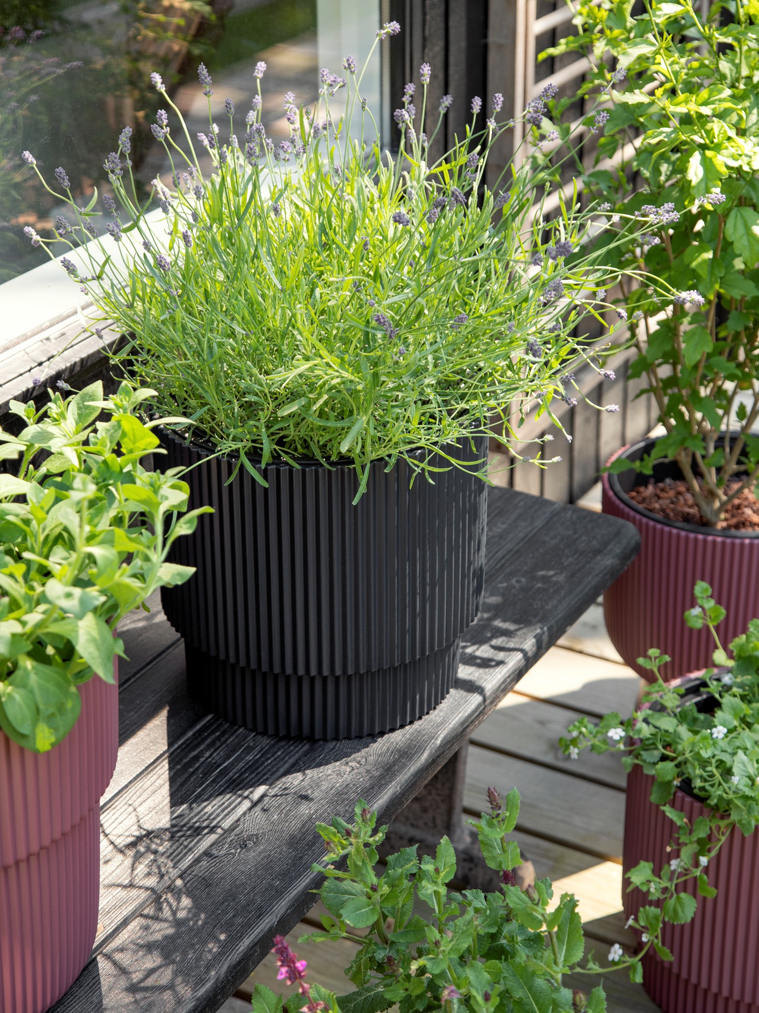 Urtepotte Milly Ø29,8 cm | Ø29,8 x 28,5 cm. 17/10 L. | Anthracite | Prosperplast