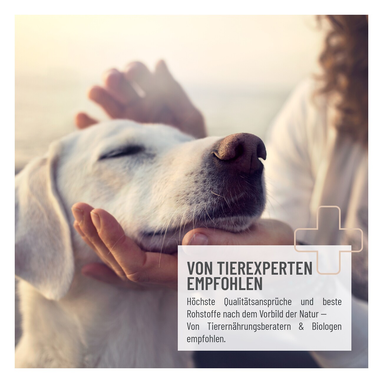 REAVET Flohsamenschalen 250g