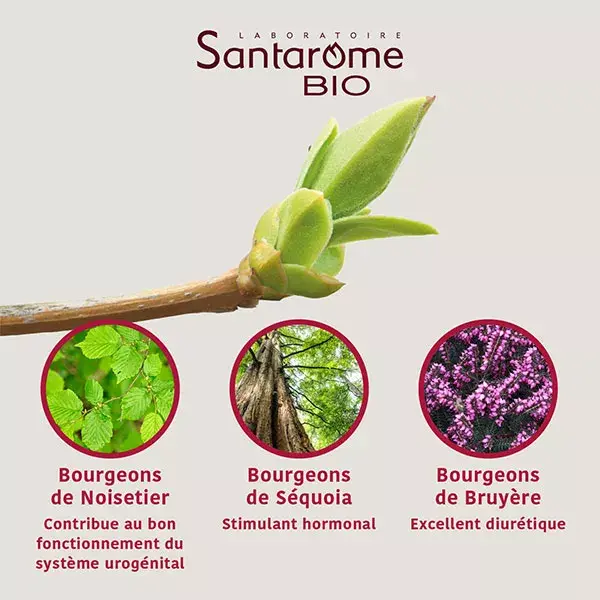 Santarome Bio - Complexo Tri Orgânico para Prostatite - 30ml