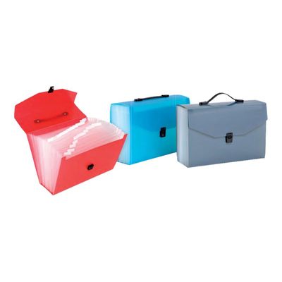 Viquel Propyglass - Valisette Trieur 24 compartiments - disponible dans différentes couleurs