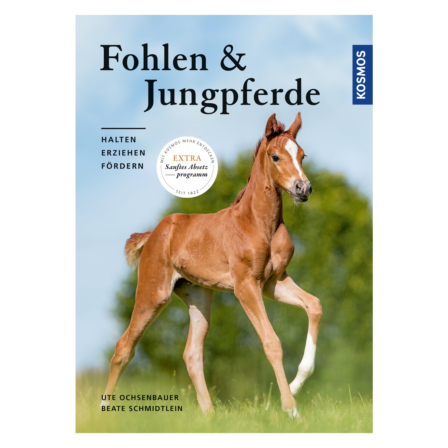 Fohlen und Jungpferde