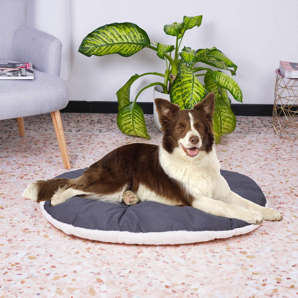 Ferplast panier chien chat - coussin pour chien chat - lavable en machine - tapis chien chat pour niches et voitures - lit pour