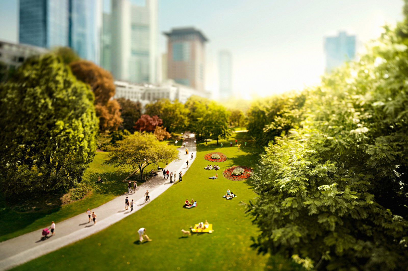 Park by Christian Schmidt - Limited Edition. Edition of: 150. Signed.