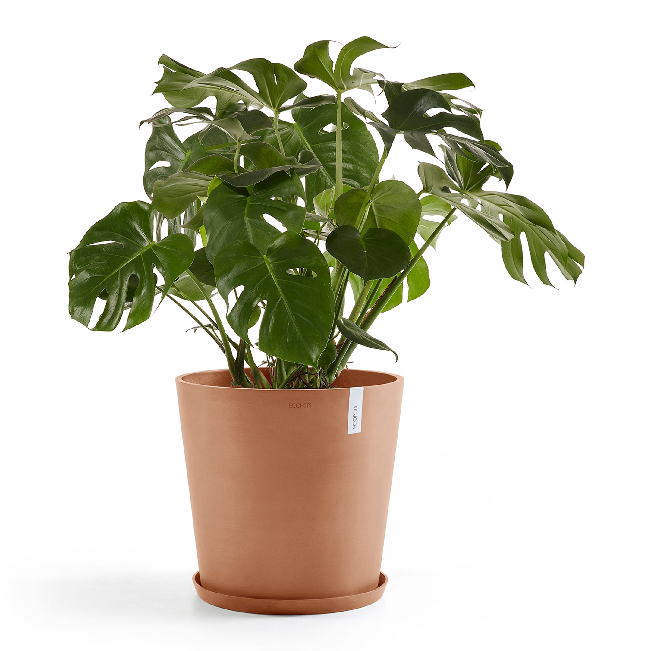 Ecopots Amsterdam 50