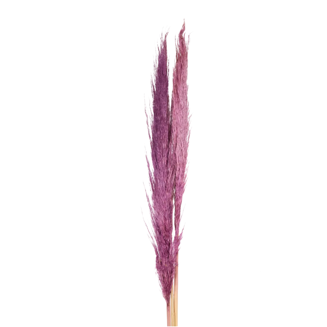 Droogboeket 70 cm | diverse varianten