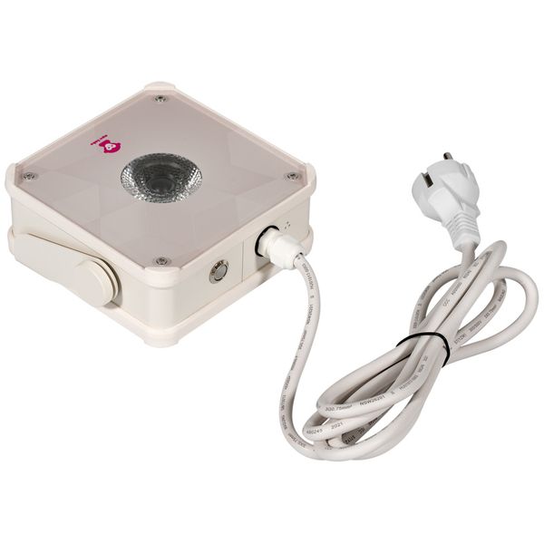 Ape Labs ApeLight mini V2 (C) Single C