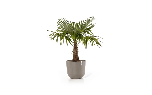ECOPOTS Pflanzkübel »Oslo 55«